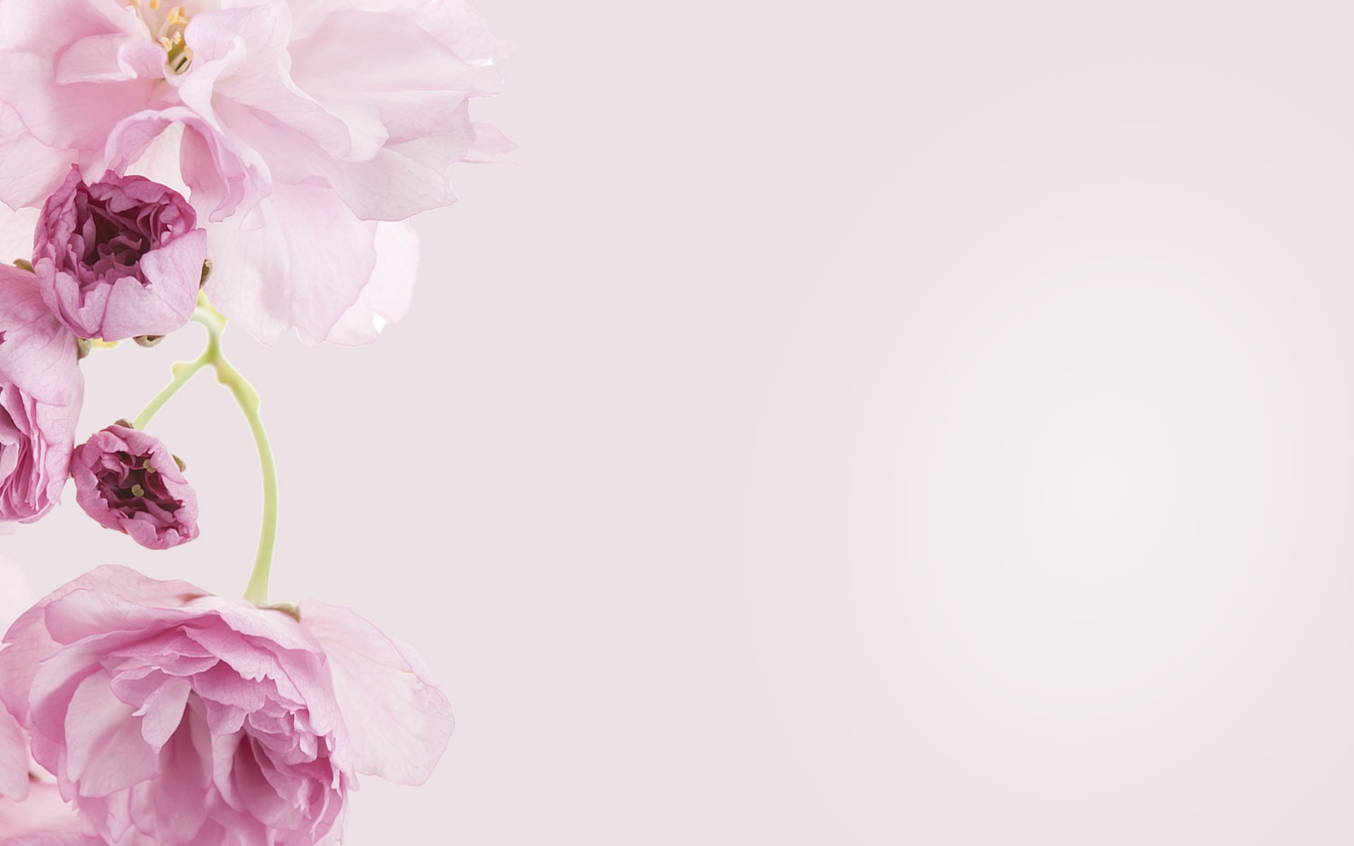 Estudio de danza en Linares, Academia de danza en Linares, Clases de danza en Linares, Escuela de danza en Jaén, Formación profesional en danza, Academia de baile en Linares, Clases de ballet en Linares, Escuela de danza clásica en Jaén, Danza contemporánea en Linares, Clases de flamenco para niños en Linares, Cursos de danza para adultos en Jaén, Formación en danza profesional en Jaén, Academia de ballet en la provincia de Jaén, Instalaciones para danza en Linares, Escuela de danza con suelo especial, Danza y salud en Jaén, Método profesional de enseñanza en danza, Espacios accesibles para bailar, ¿Dónde aprender danza en Linares?, Mejor academia de danza en Jaén, Clases de danza para principiantes en Linares, Curso intensivo de danza en Jaén, Horarios y precios de clases de danza en Linares, preparación para las pruebas de ingreso al Conservatorio Profesional de Danza, preparación para las pruebas del Conservatorio, instalaciones para danza en Linares, suelo especial para danza, academia de danza en Jaén, galas de danza en Linares, espectáculos de fin de curso, actuaciones de ballet y flamenco, formación en danza en Linares, clases de ballet en Jaén, preparación para conservatorio de danza, ballet para adultos, ballet en Linares, clases de ballet clásico en Jaén, introducción a la danza para niños y adultos, academia de ballet en Linares, técnicas de puntas en Linares, repertorio clásico de ballet en Jaén, clases de ballet avanzado en Linares, perfeccionamiento en ballet clásico, preparación pruebas conservatorio danza en Linares, clases para ingreso al Conservatorio Profesional de Danza en Jaén, academia de danza para acceso a conservatorios, formación profesional en danza Linares, ballet fitness en Linares, clases de ballet para adultos en Jaén, entrenamiento con ballet en Linares, bienestar físico y emocional a través del ballet, ballet contemporáneo en Linares, clases de danza moderna en Jaén, ballet musical para todas las edades, expresión artística a través de la danza