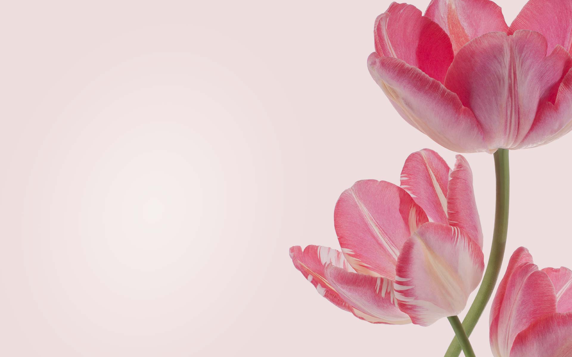 Estudio de danza en Linares, Academia de danza en Linares, Clases de danza en Linares, Escuela de danza en Jaén, Formación profesional en danza, Academia de baile en Linares, Clases de ballet en Linares, Escuela de danza clásica en Jaén, Danza contemporánea en Linares, Clases de flamenco para niños en Linares, Cursos de danza para adultos en Jaén, Formación en danza profesional en Jaén, Academia de ballet en la provincia de Jaén, Instalaciones para danza en Linares, Escuela de danza con suelo especial, Danza y salud en Jaén, Método profesional de enseñanza en danza, Espacios accesibles para bailar, ¿Dónde aprender danza en Linares?, Mejor academia de danza en Jaén, Clases de danza para principiantes en Linares, Curso intensivo de danza en Jaén, Horarios y precios de clases de danza en Linares, preparación para las pruebas de ingreso al Conservatorio Profesional de Danza, preparación para las pruebas del Conservatorio, instalaciones para danza en Linares, suelo especial para danza, academia de danza en Jaén, galas de danza en Linares, espectáculos de fin de curso, actuaciones de ballet y flamenco, formación en danza en Linares, clases de ballet en Jaén, preparación para conservatorio de danza, ballet para adultos, ballet en Linares, clases de ballet clásico en Jaén, introducción a la danza para niños y adultos, academia de ballet en Linares, técnicas de puntas en Linares, repertorio clásico de ballet en Jaén, clases de ballet avanzado en Linares, perfeccionamiento en ballet clásico, preparación pruebas conservatorio danza en Linares, clases para ingreso al Conservatorio Profesional de Danza en Jaén, academia de danza para acceso a conservatorios, formación profesional en danza Linares, ballet fitness en Linares, clases de ballet para adultos en Jaén, entrenamiento con ballet en Linares, bienestar físico y emocional a través del ballet, ballet contemporáneo en Linares, clases de danza moderna en Jaén, ballet musical para todas las edades, expresión artística a través de la danza